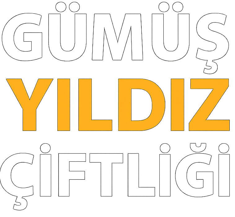 Gümüş Yıldız Tarım ve Hayvancılık